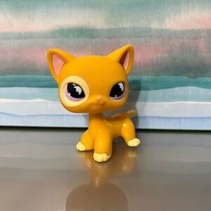 Hasbro Littlest Pet Shop Shorthair orange Cat #855 Purple Eyes 2008 Vintage